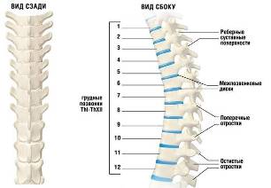 Cervical Osteochondrose